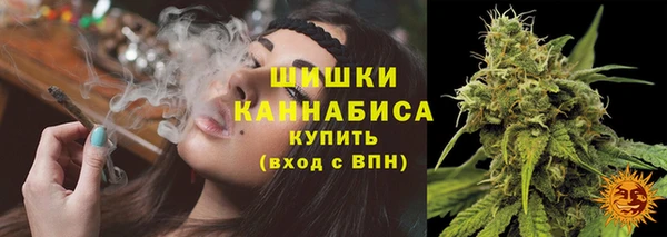 spice Белокуриха
