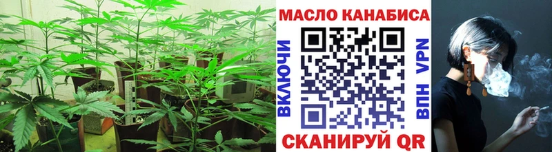 как найти закладки  Городовиковск  Дистиллят ТГК Wax 