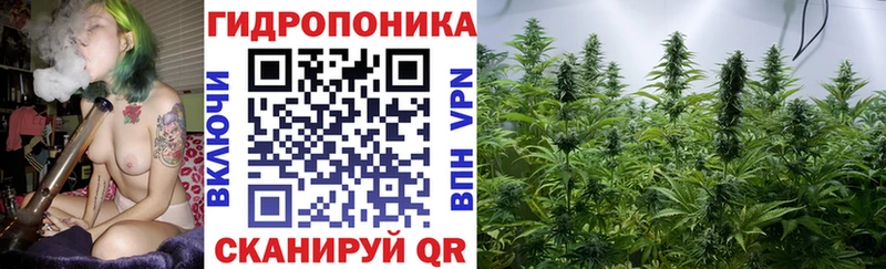 дарнет шоп  Городовиковск  MEGA ONION  Шишки марихуана конопля 